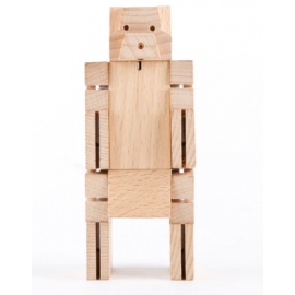 Medvěď v kostce