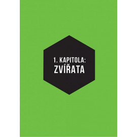 Hádanky a hlavolamy - Svět kolem nás