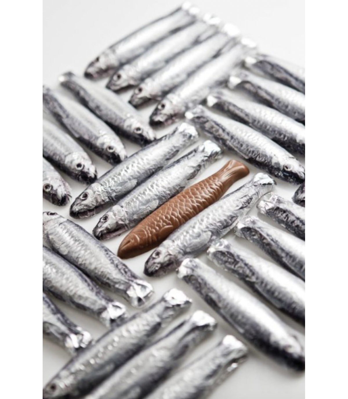 Čokoládové sardinky v konzervě