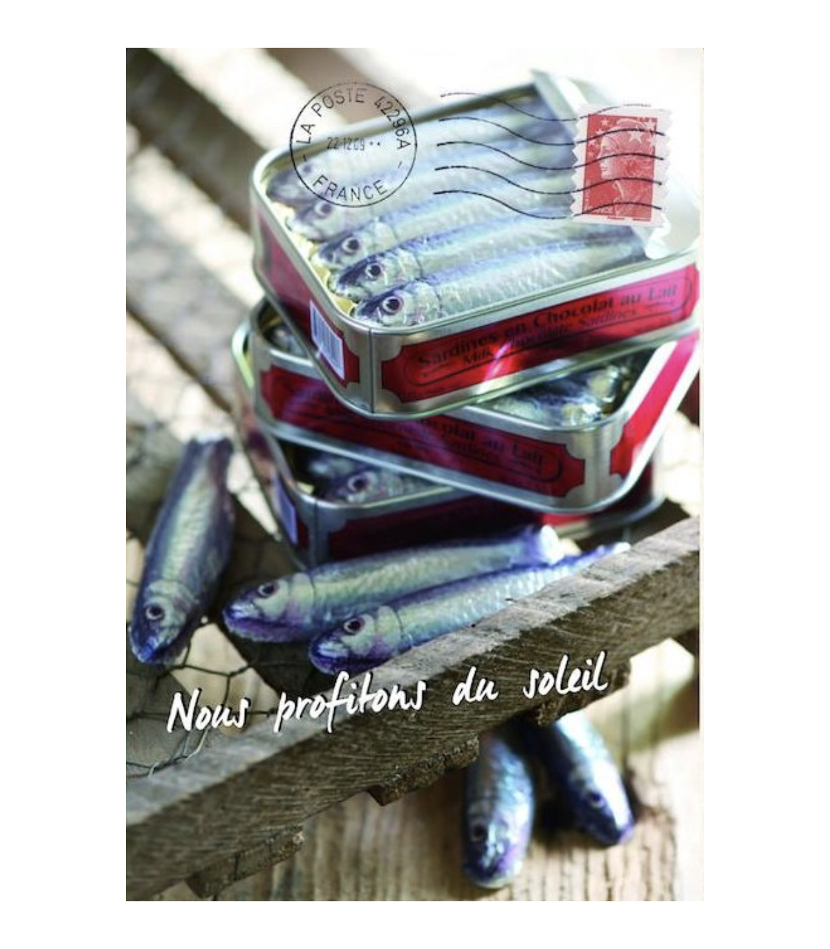 Čokoládové sardinky v konzervě