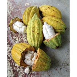 Čokoládové sardinky v konzervě