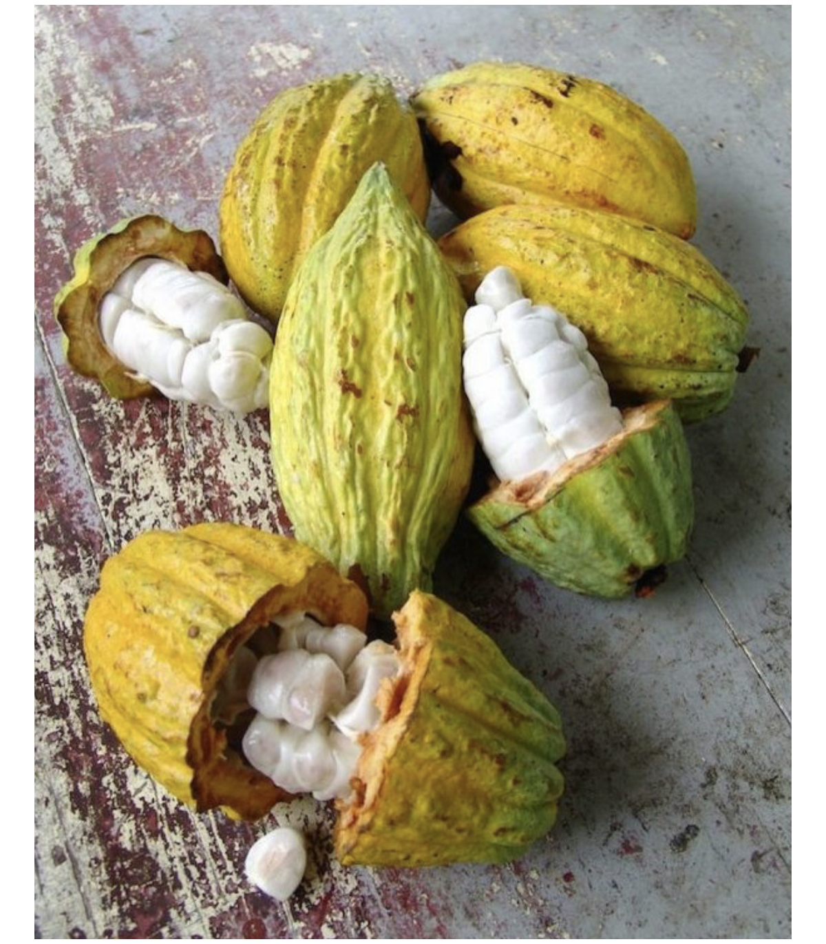 Pralinkové cappuccino v dárkové kazetě