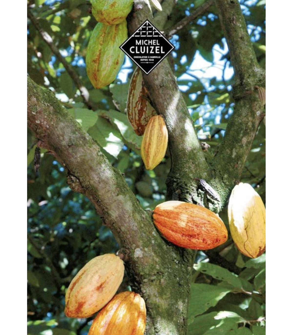 Pralinkové cappuccino v dárkové kazetě