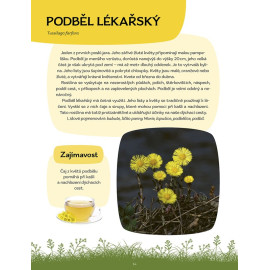Český herbář pro děti