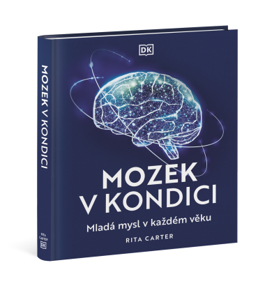 Mozek v kondici