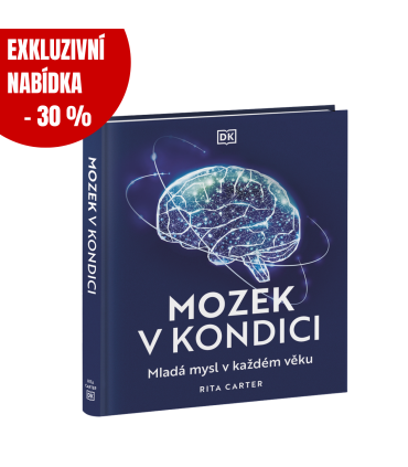 Mozek v kondici