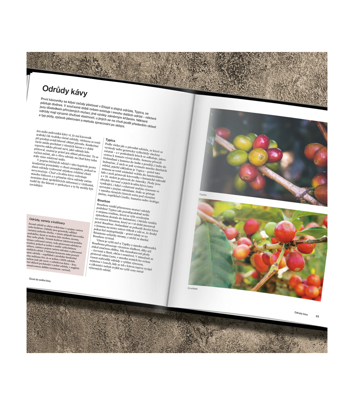 Kniha Bible kávy | Familium